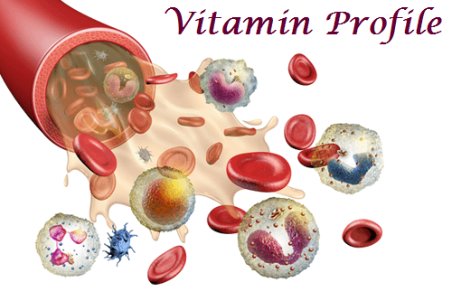 Vitamin Profile